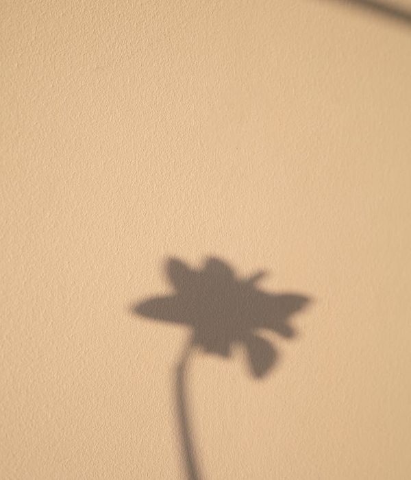 A calm and minimalist space with soft natural light.