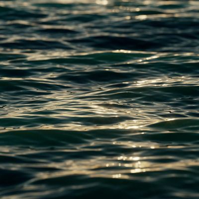 Gentle ripples on a dark water surface.